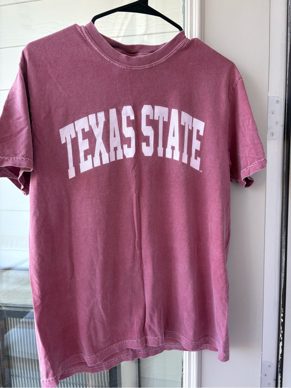 Comfort Colors Dusty Rose Texas State Graphic Tee